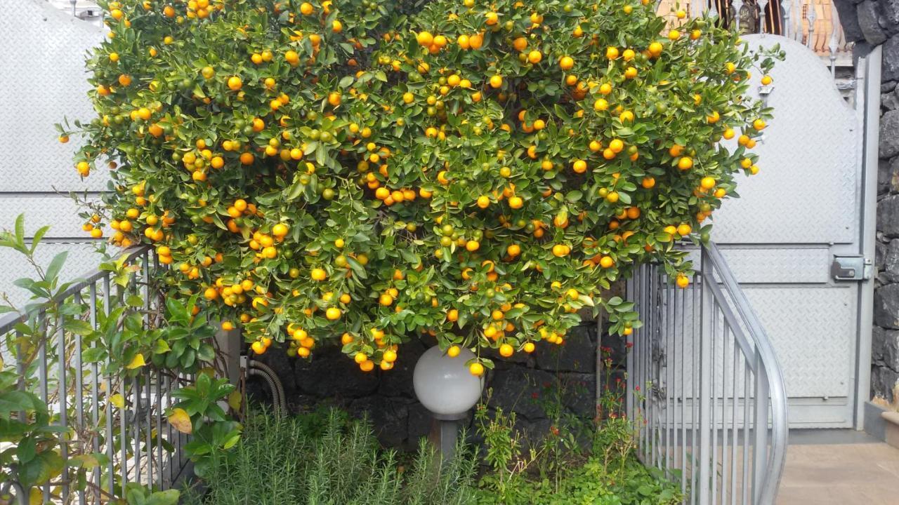 B&B Villa Liliya Fiumefreddo di Sicilia Exteriér fotografie